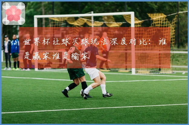 世界杯让球买球玩法深度对比：谁是赢家谁是输家