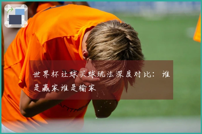 世界杯让球买球玩法深度对比：谁是赢家谁是输家