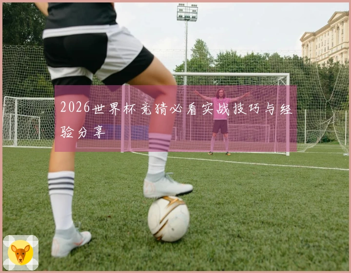 2026世界杯竞猜必看实战技巧与经验分享