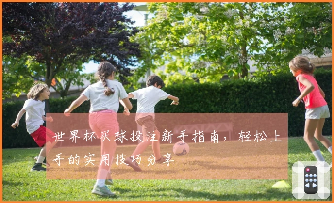 世界杯买球投注新手指南，轻松上手的实用技巧分享