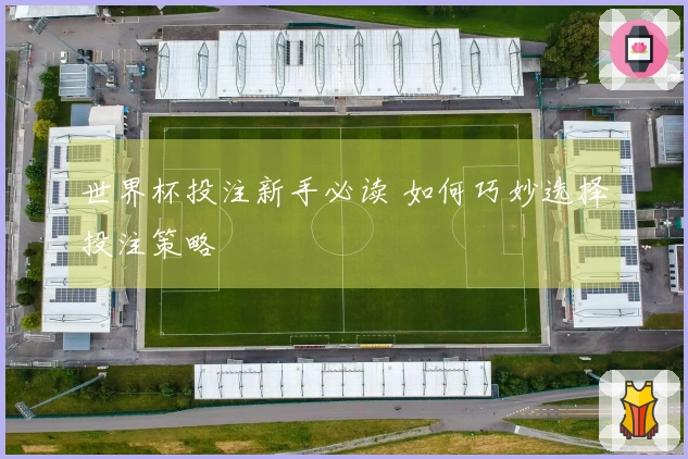 世界杯投注新手必读 如何巧妙选择投注策略