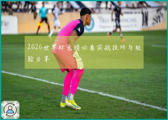 2026世界杯竞猜必看实战技巧与经验分享