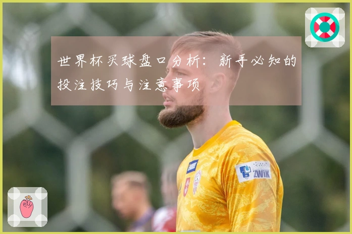 世界杯买球盘口分析：新手必知的投注技巧与注意事项