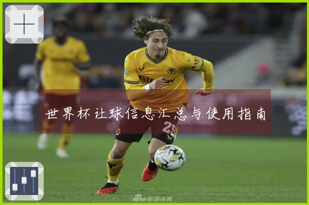 世界杯让球信息汇总与使用指南