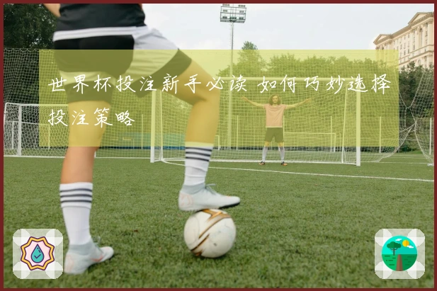 世界杯投注新手必读 如何巧妙选择投注策略