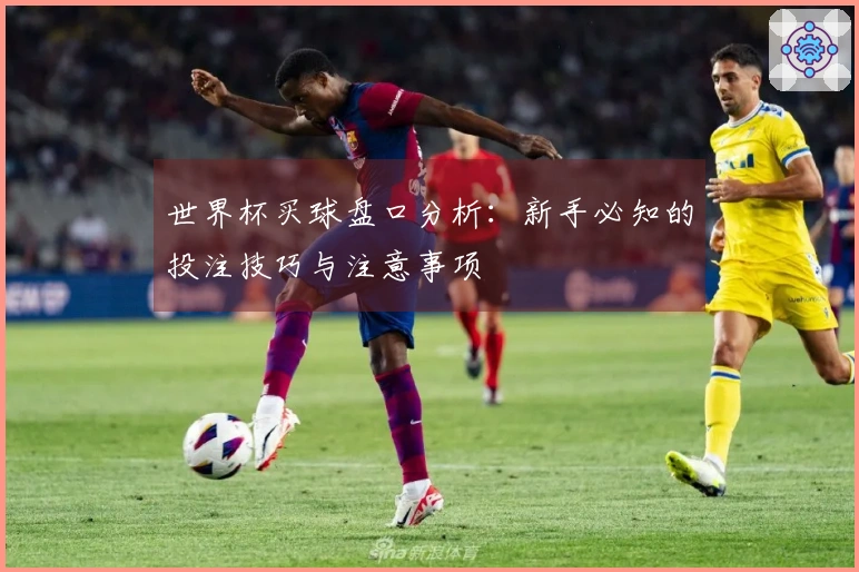 世界杯买球盘口分析：新手必知的投注技巧与注意事项