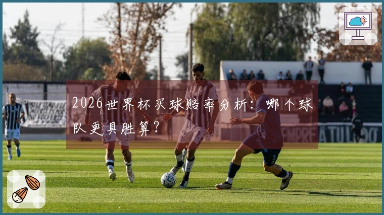 2026世界杯买球赔率分析：哪个球队更具胜算？